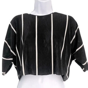 Zara/  Cropped tee-shirt/ Blouse/ Accordion style fabric/ Silky/ Size US S